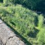 ATE - Pont de la Bigue